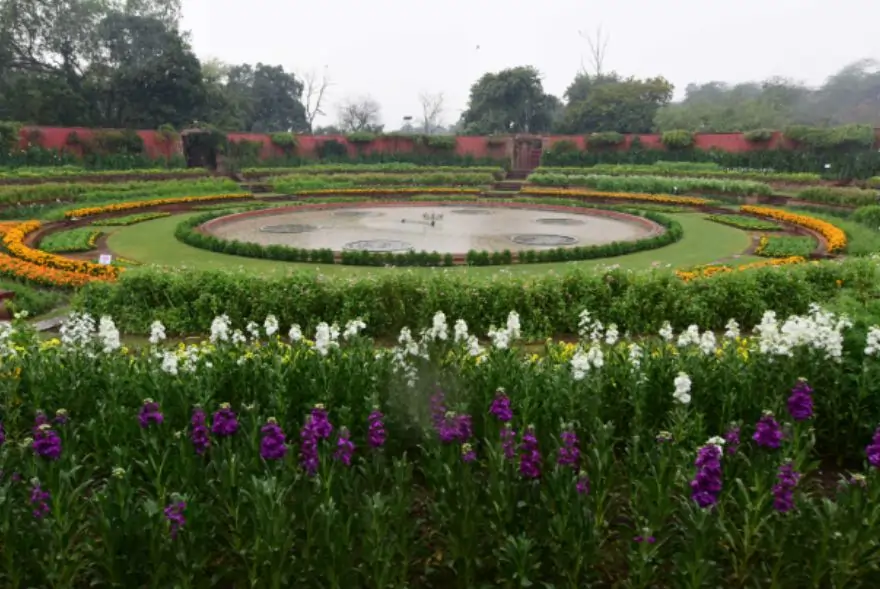 ২ ফেব্ৰুৱাৰীৰ পৰা সাধাৰণ জনতাৰ বাবে মুকলি হ’ব ৰাষ্ট্ৰপতি ভৱনৰ অমৃত উদ্যান