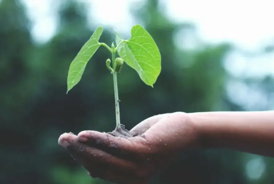 কিয় পালন কৰা হয় পৃথিৱী দিৱস...